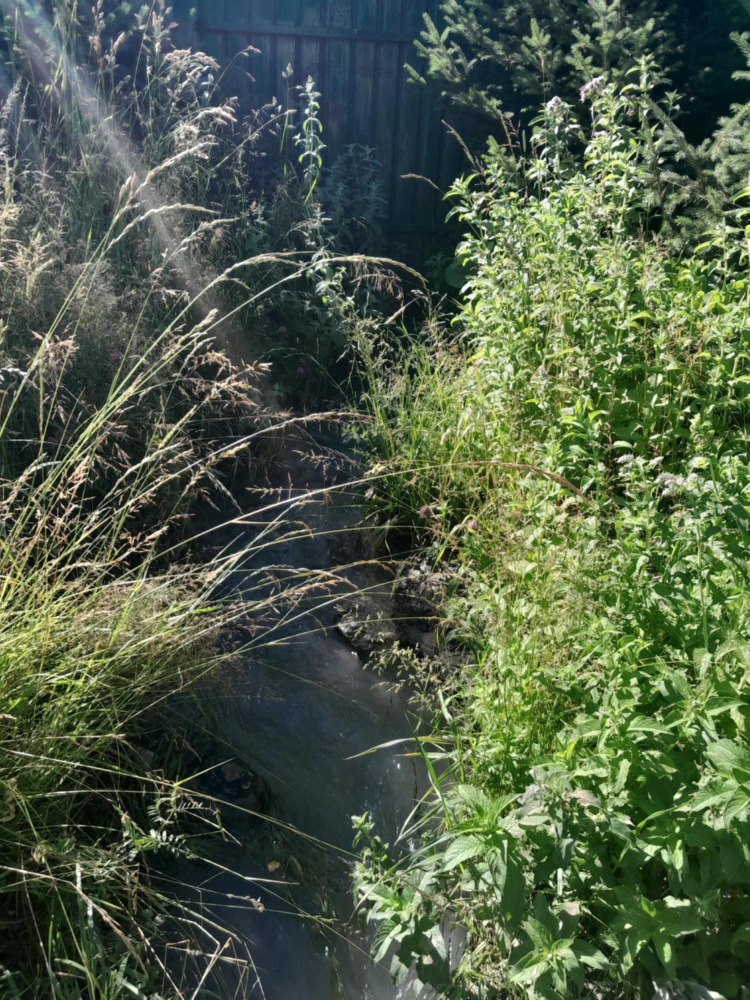 Waterfall In The Yard Karakol Exterior foto